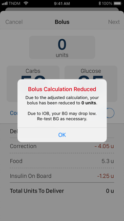 bolus_calculation_reduced_prompt.png